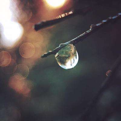 蔬菜大战水果修改版